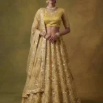 Embroidered Net Lehenga in Yellow